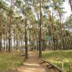 進学vs就職の決断をAIで科学的に分析する方法