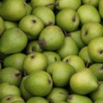 大量レポートを効率化するAI活用生産術