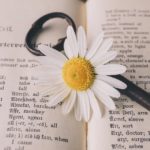 英語論文の苦手意識を克服するための5つのステップ