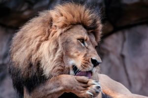 進路悩みを解決する先輩×AI活用事例集