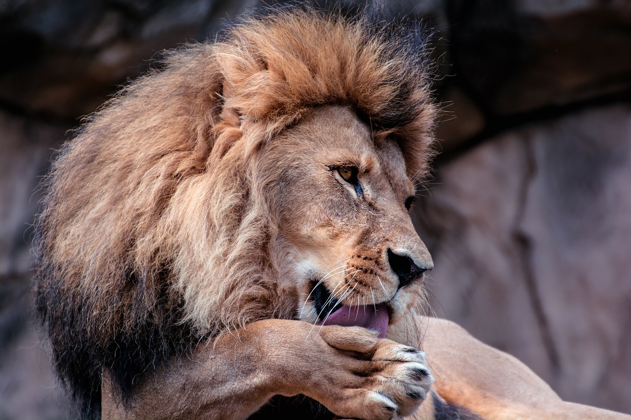 進路悩みを解決する先輩×AI活用事例集