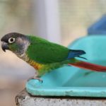 試験直前でも間に合う！AI時短復習術