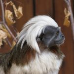 先輩の成功事例に学ぶ自己分析とPRの実践