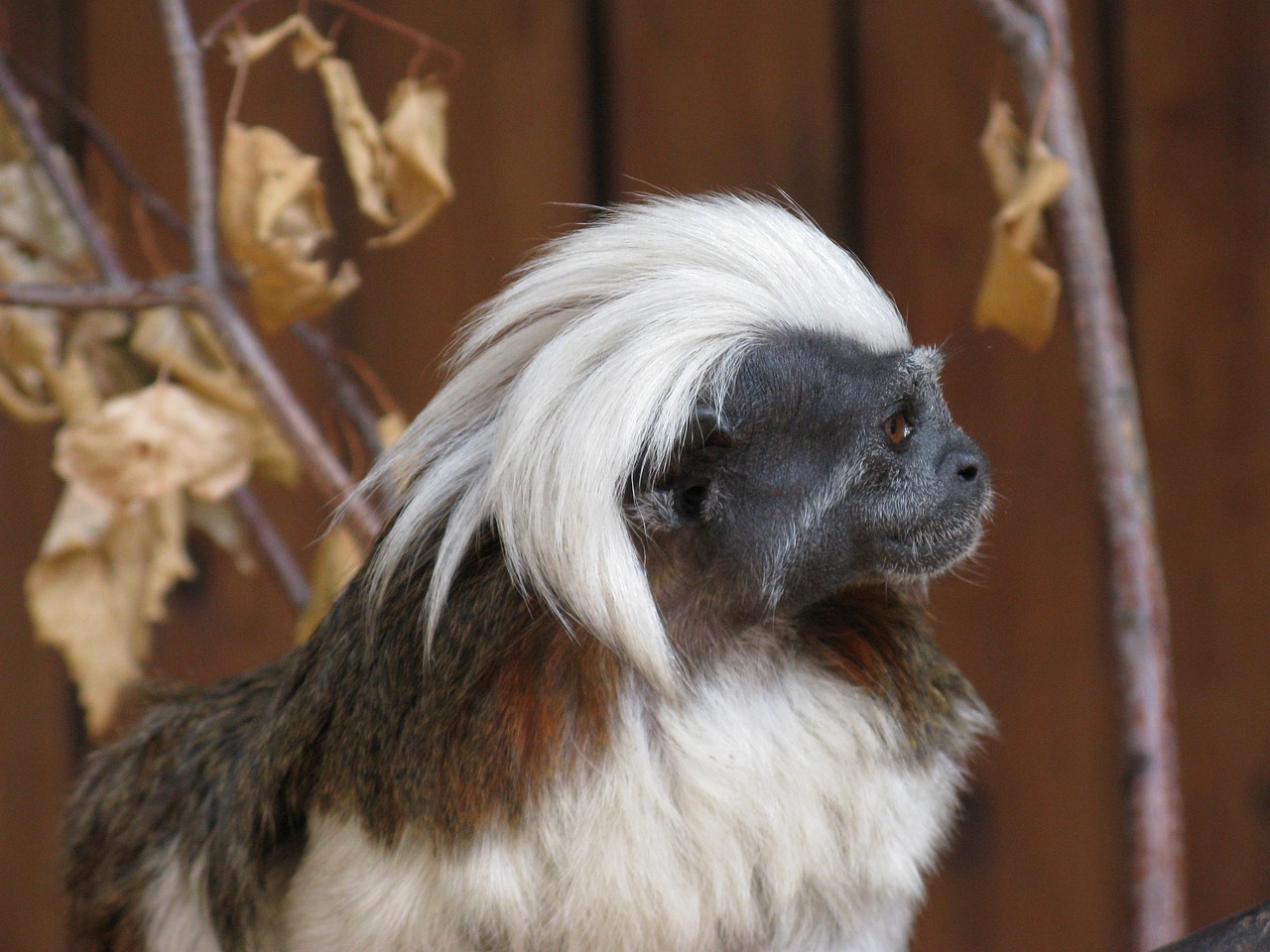 先輩の成功事例に学ぶ自己分析とPRの実践